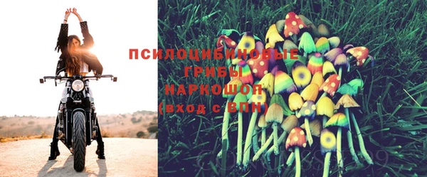 твердый Алексеевка